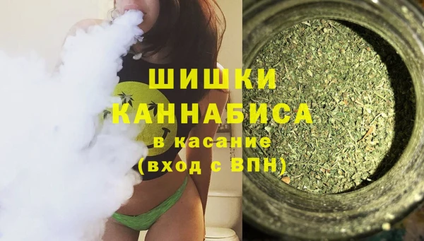 ПСИЛОЦИБИНОВЫЕ ГРИБЫ Аркадак