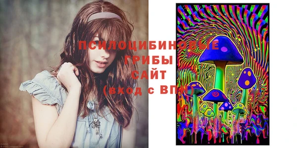 гашик Баксан