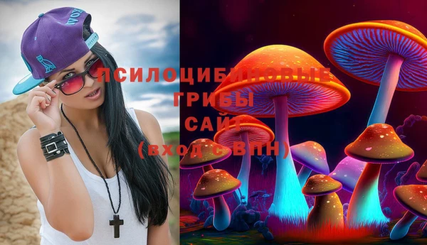 ГАЛЛЮЦИНОГЕННЫЕ ГРИБЫ Армянск