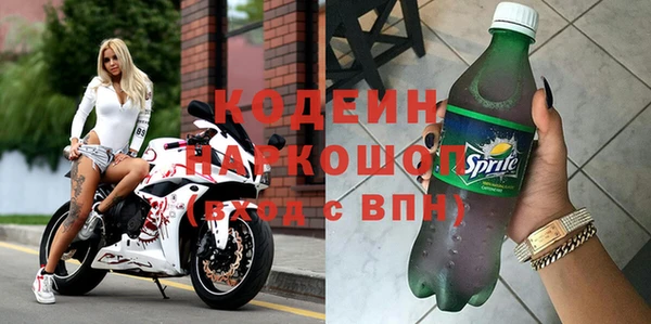 ПСИЛОЦИБИНОВЫЕ ГРИБЫ Арсеньев