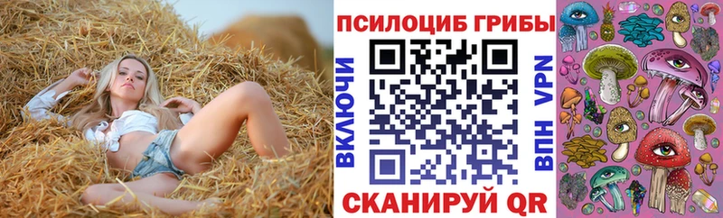 Псилоцибиновые грибы Psilocybe ссылка на мегу ТОР Будённовск